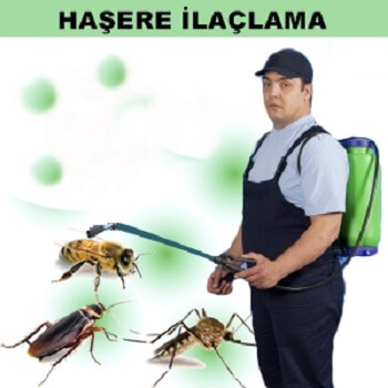 Musabeyli Böcek İlaçlama